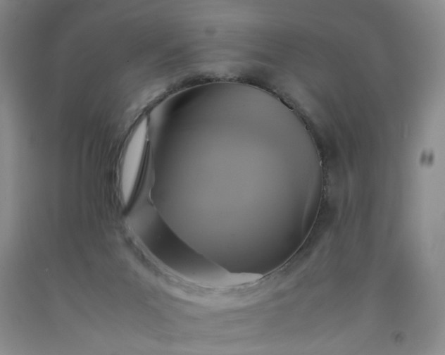 X0000091960023200709201353