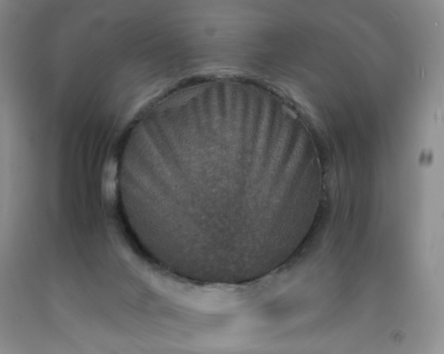 X0000091960024200709201353