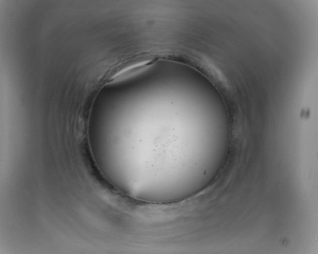 X0000091960025200709201353