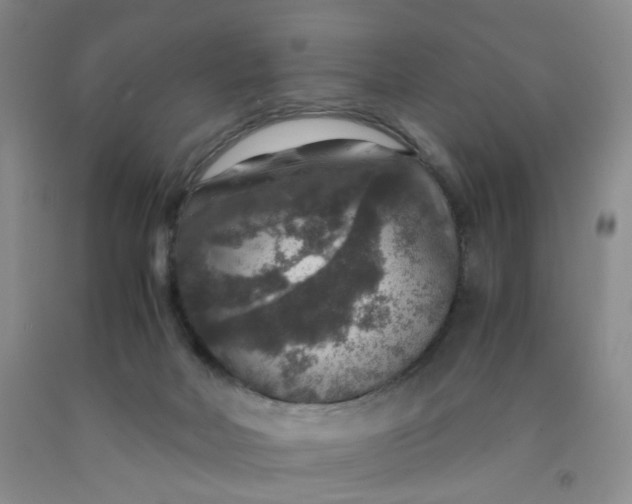 X0000091960026200709201353