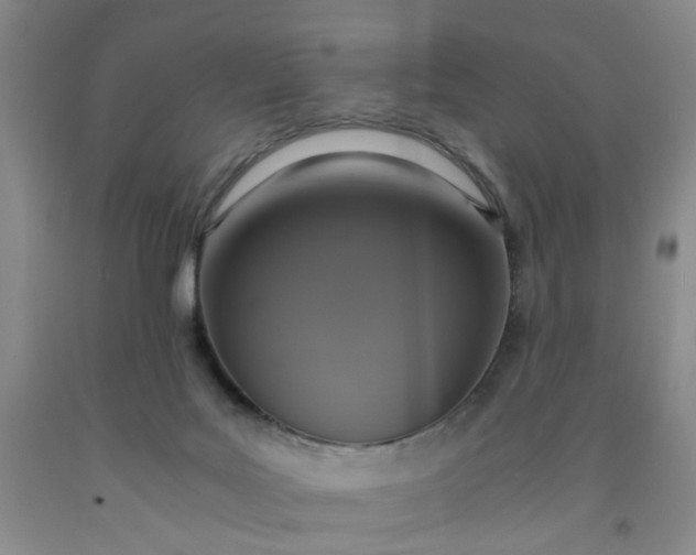 X0000091960027200709201353