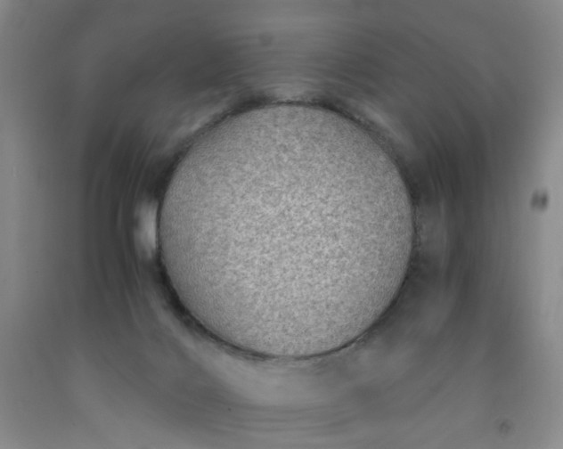 X0000091960028200709201353