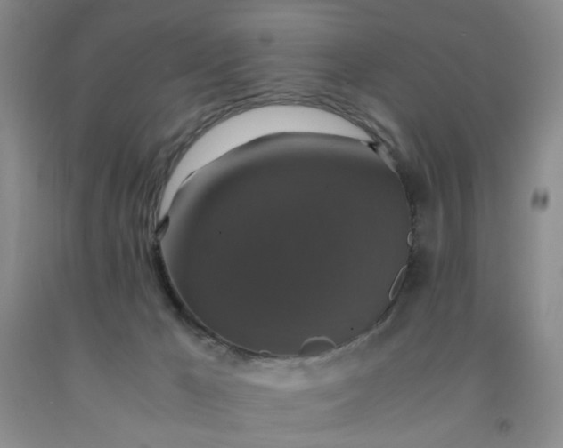 X0000091960029200709201353