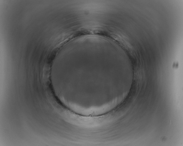 X0000091960030200709201353