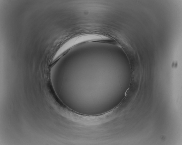 X0000091960031200709201353