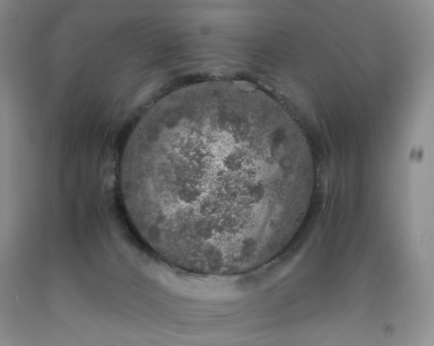 X0000091960032200709201353