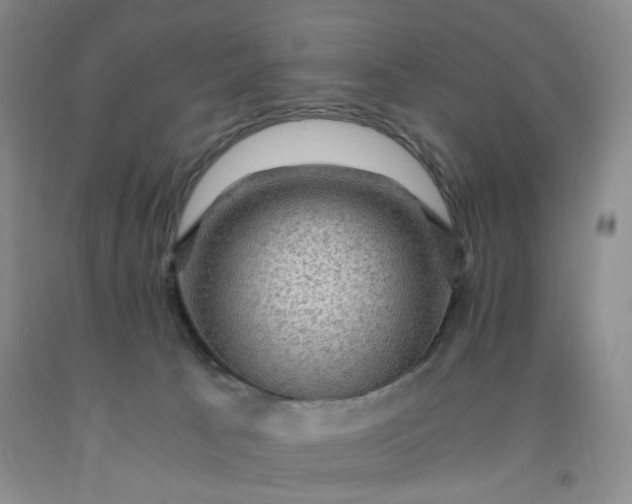 X0000091960033200709201353