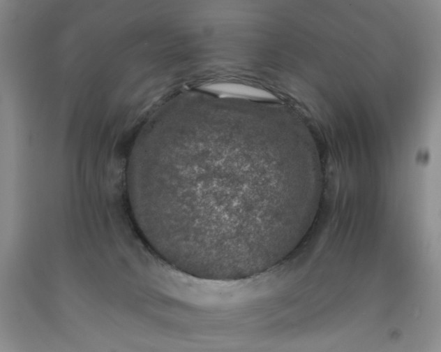 X0000091960034200709201353