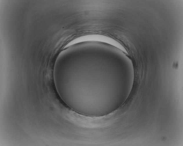 X0000091960035200709201353