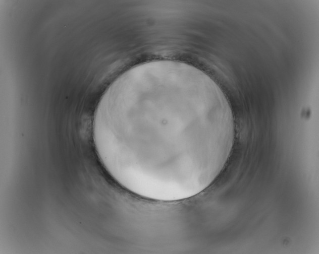 X0000091960036200709201353