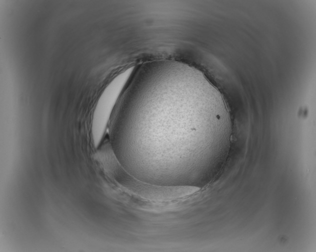 X0000091960037200709201353