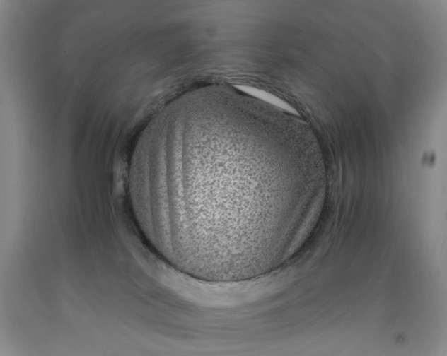 X0000091960038200709201353