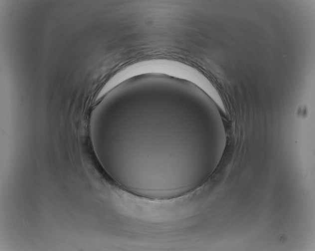 X0000091960039200709201353