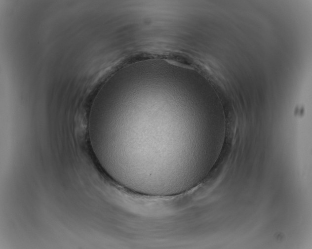 X0000091960040200709201353