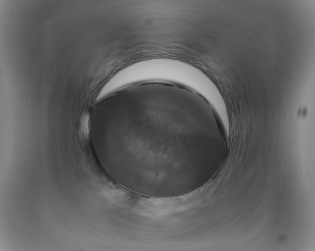 X0000091960041200709201353