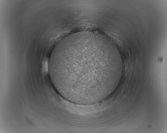 X0000091960042200709201353