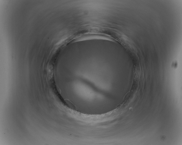 X0000091960043200709201353