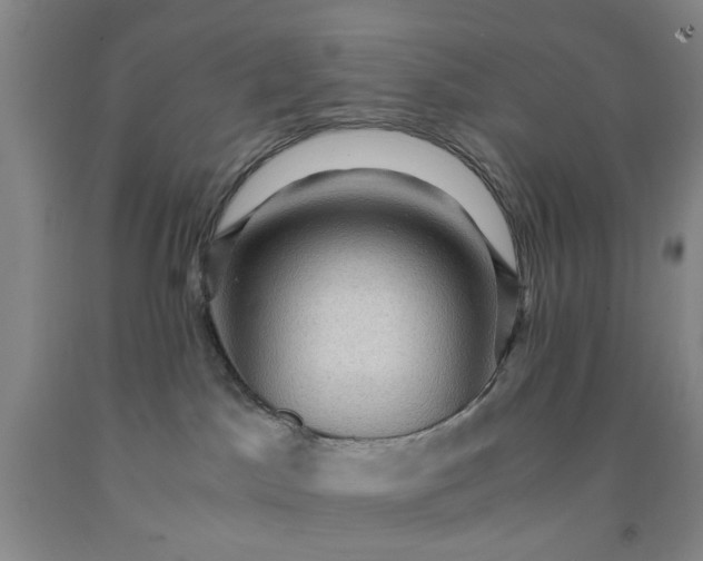 X0000091960045200709201353