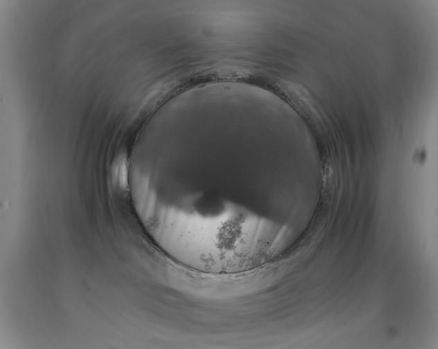 X0000091960046200709201353