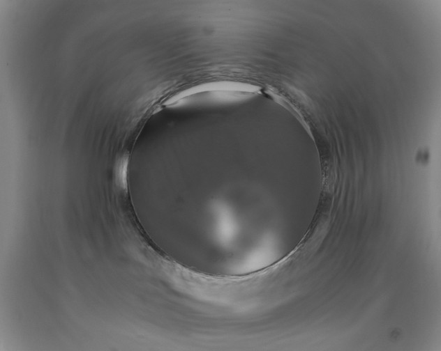 X0000091960047200709201353