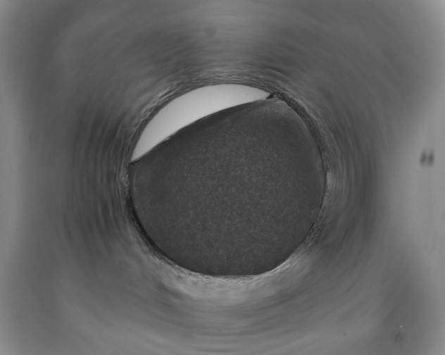 X0000091960048200709201353