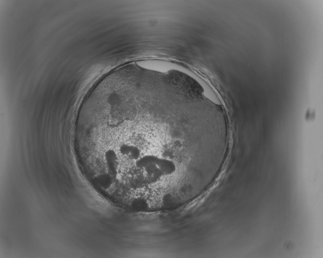 X0000091960049200709201352