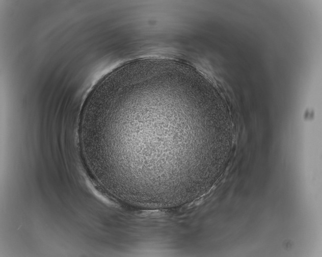 X0000091960050200709201352