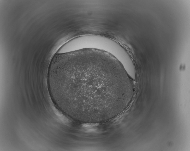 X0000091960051200709201352