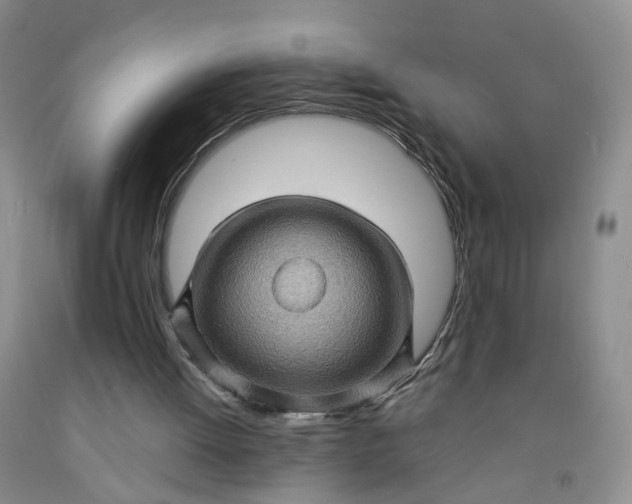 X0000091960052200709201352