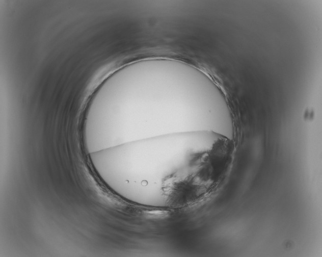 X0000091960053200709201352