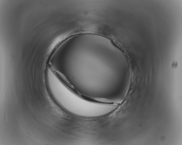 X0000091960054200709201352