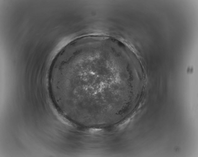 X0000091960055200709201352