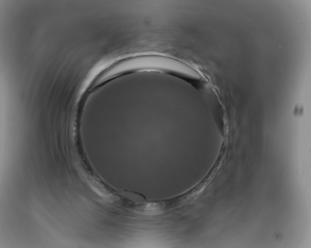 X0000091960056200709201352