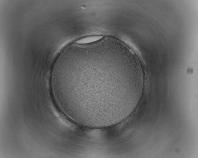 X0000091960058200709201353