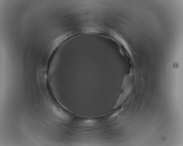 X0000091960059200709201353