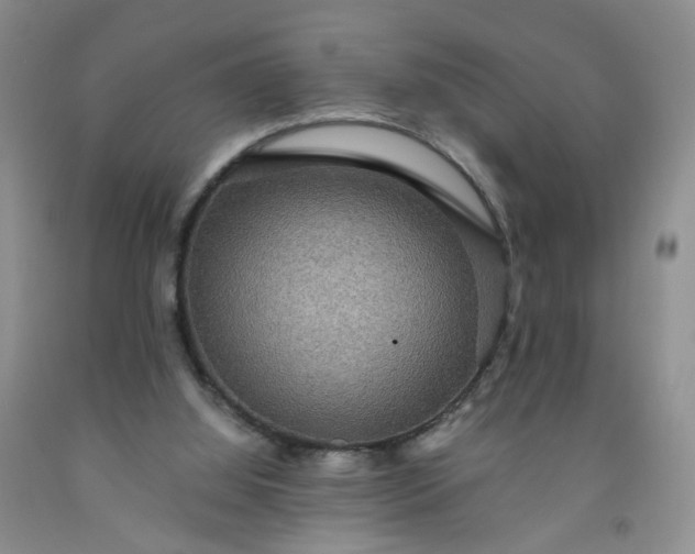 X0000091960060200709201353