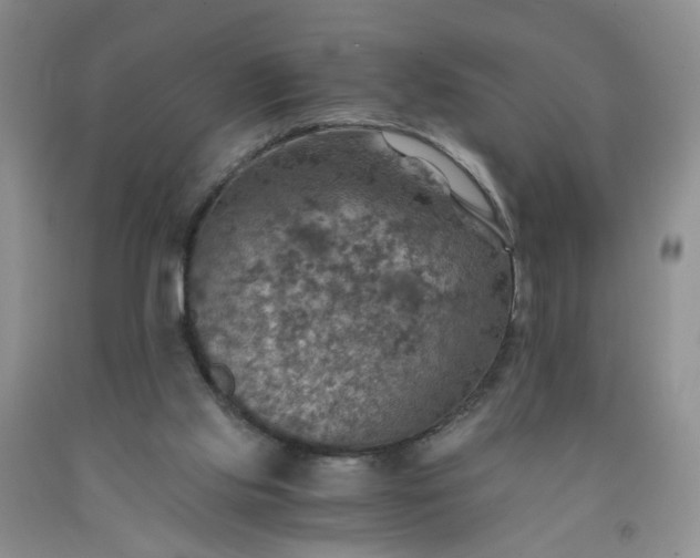 X0000091960061200709201353