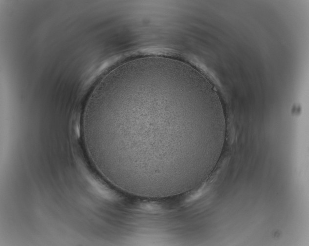 X0000091960062200709201353