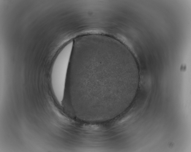 X0000091960063200709201353