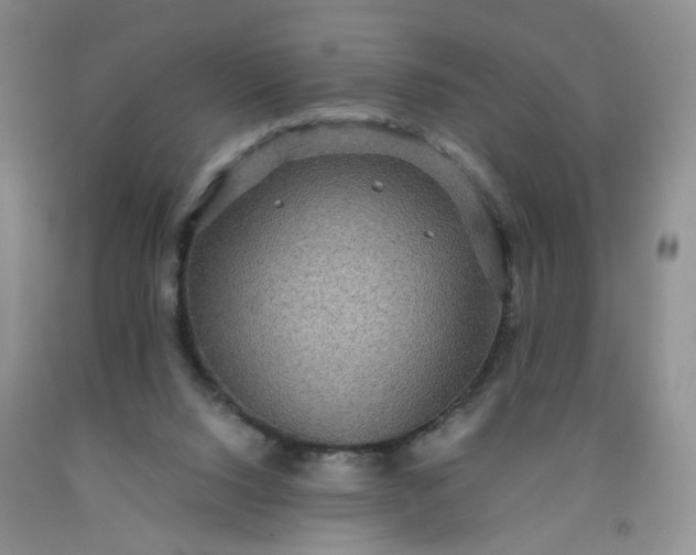 X0000091960064200709201353