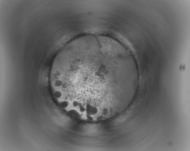 X0000091960065200709201353