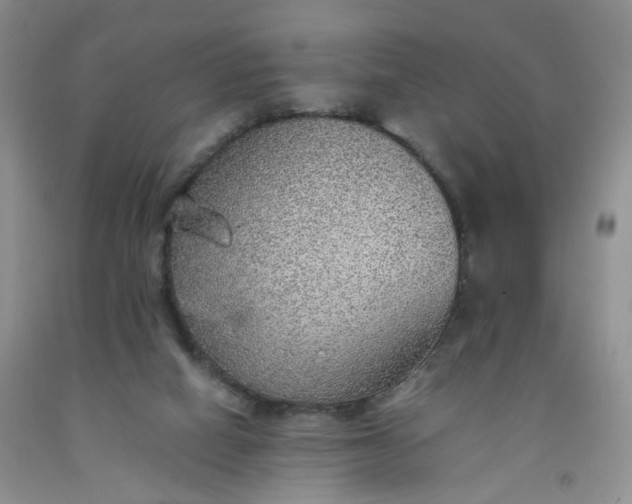 X0000091960066200709201353