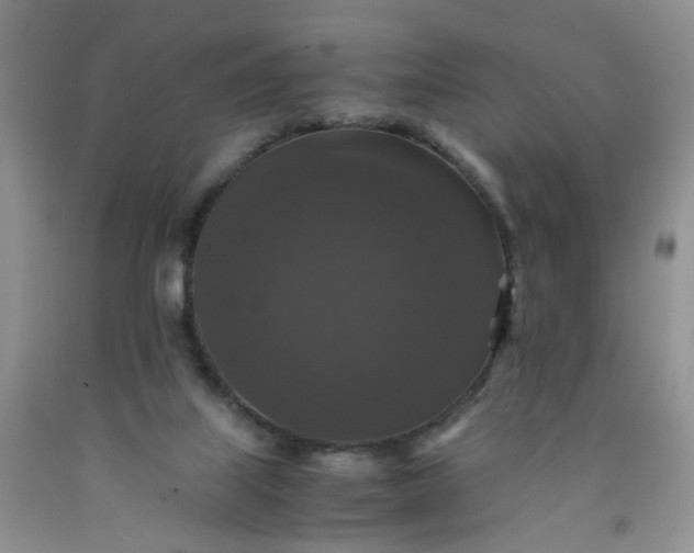 X0000091960067200709201353