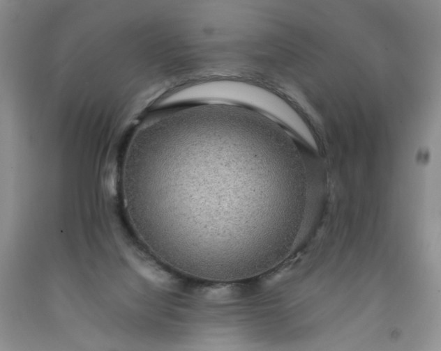 X0000091960068200709201353