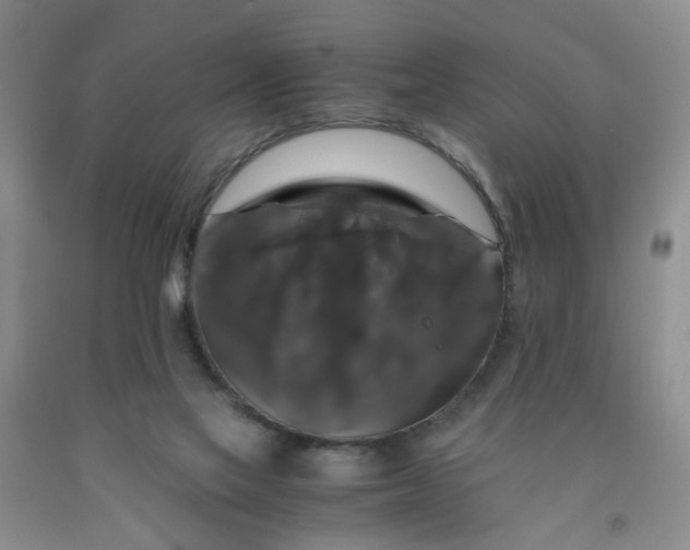 X0000091960069200709201353