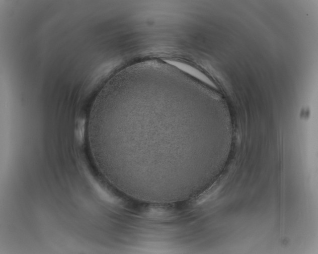 X0000091960070200709201353