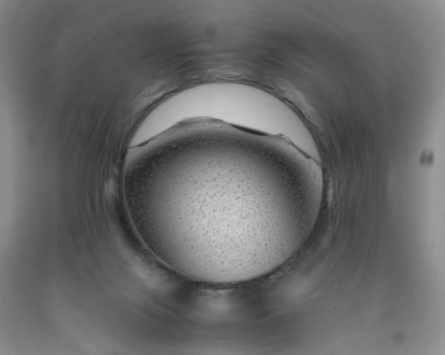 X0000091960071200709201353