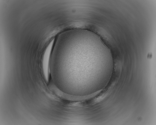 X0000091960072200709201353