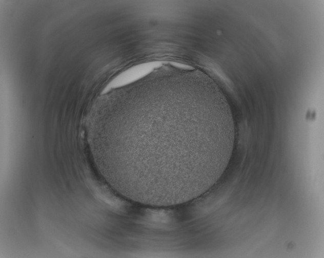 X0000091960073200709201353