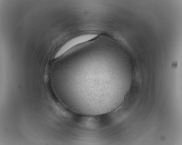 X0000091960074200709201353